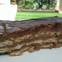 עוגת ביסקוויטים עם קרם וציפוי שוקולד