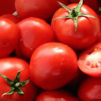 סלט עגבניות שרי קל להכנה טעים ומרענן