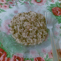 מג'דרה אורז מלא ועדשים